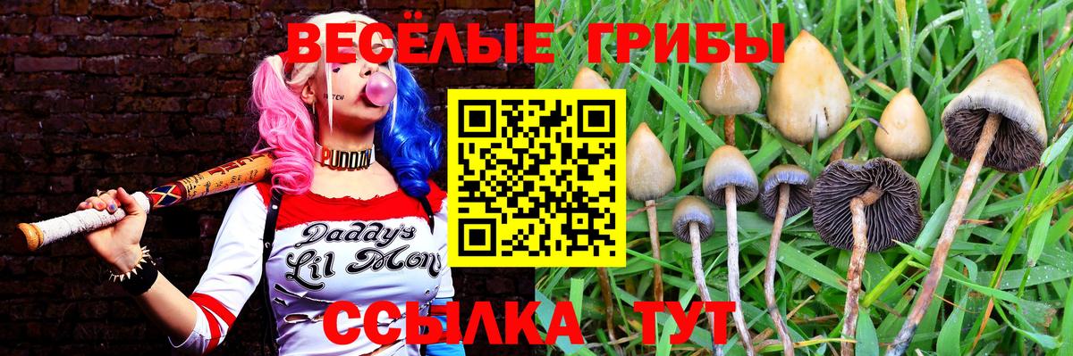 Псилоцибиновые грибы GOLDEN TEACHER Киселёвск