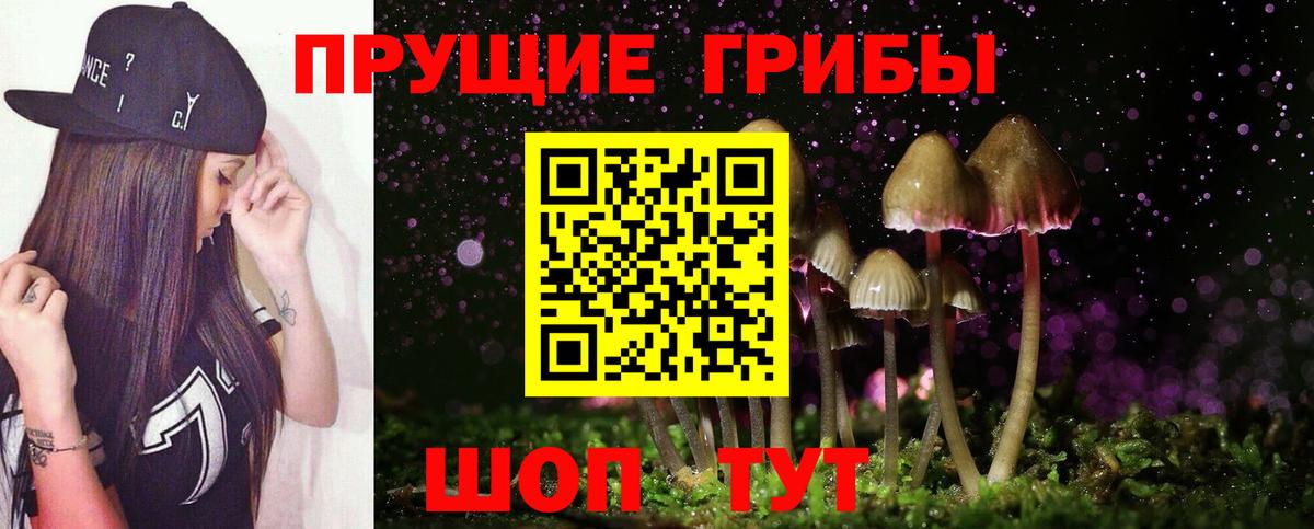 где купить наркотик  Вход с VPN  Галлюциногенные грибы MAGIC MUSHROOMS  Киселёвск  Псилоцибиновые грибы MAGIC MUSHROOMS 